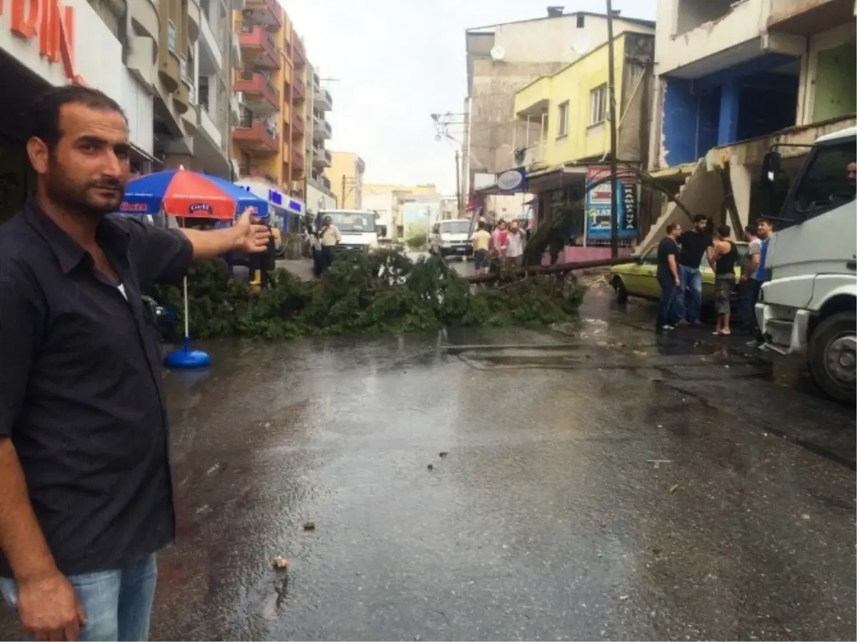 İzmir\'de Devrilen Ağaç Yolu Kapattı