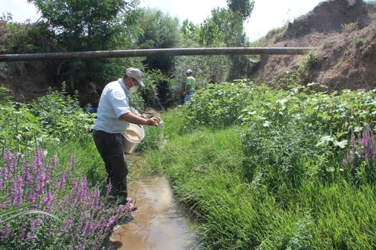 Kırklareli\'de Sivrisinek Mücadelesi Sürüyor
