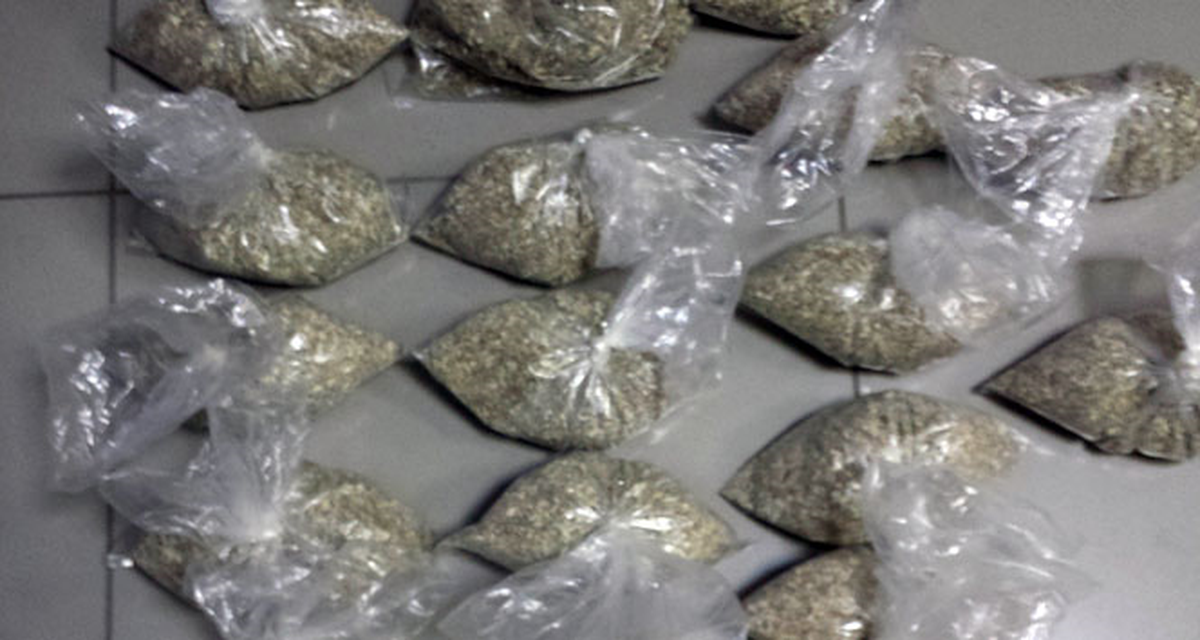Sakarya\'da 50 Kilo Bonzai Ele Geçirildi
