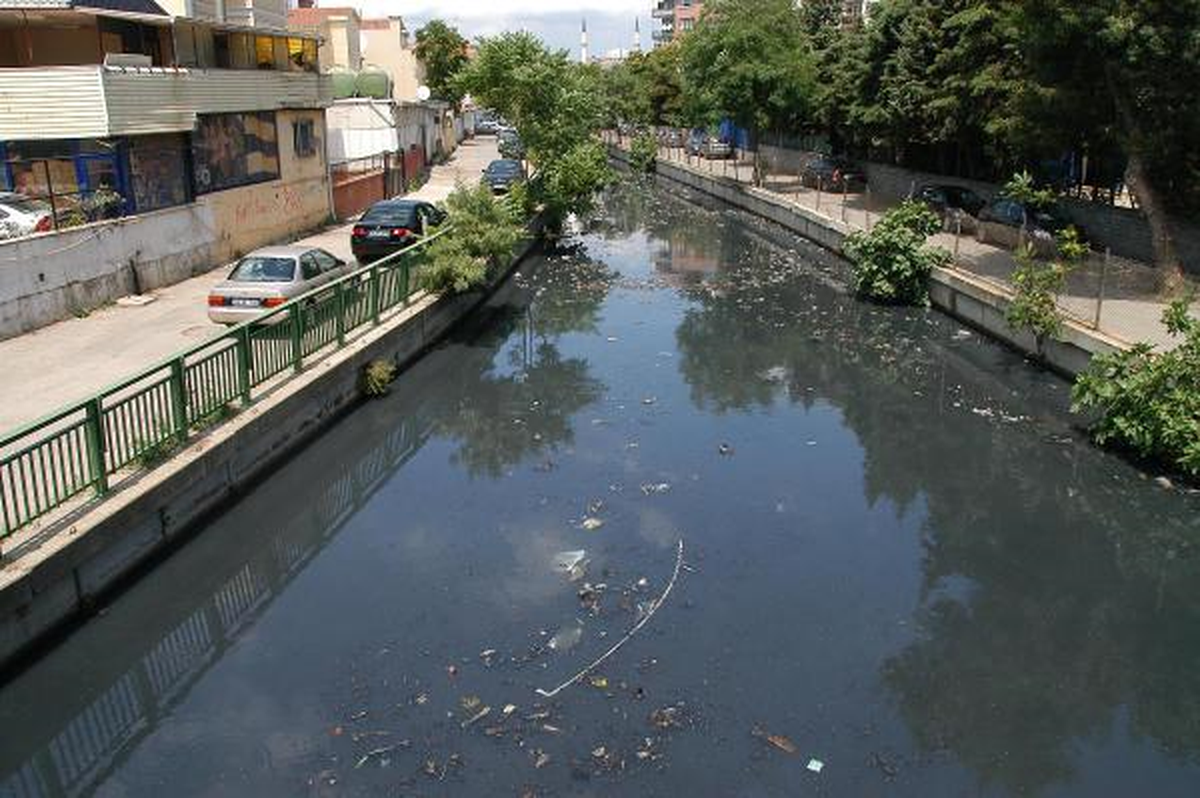 "Kadıköylülerden Rica Ediyorum Lütfen Denize Girmesinler"