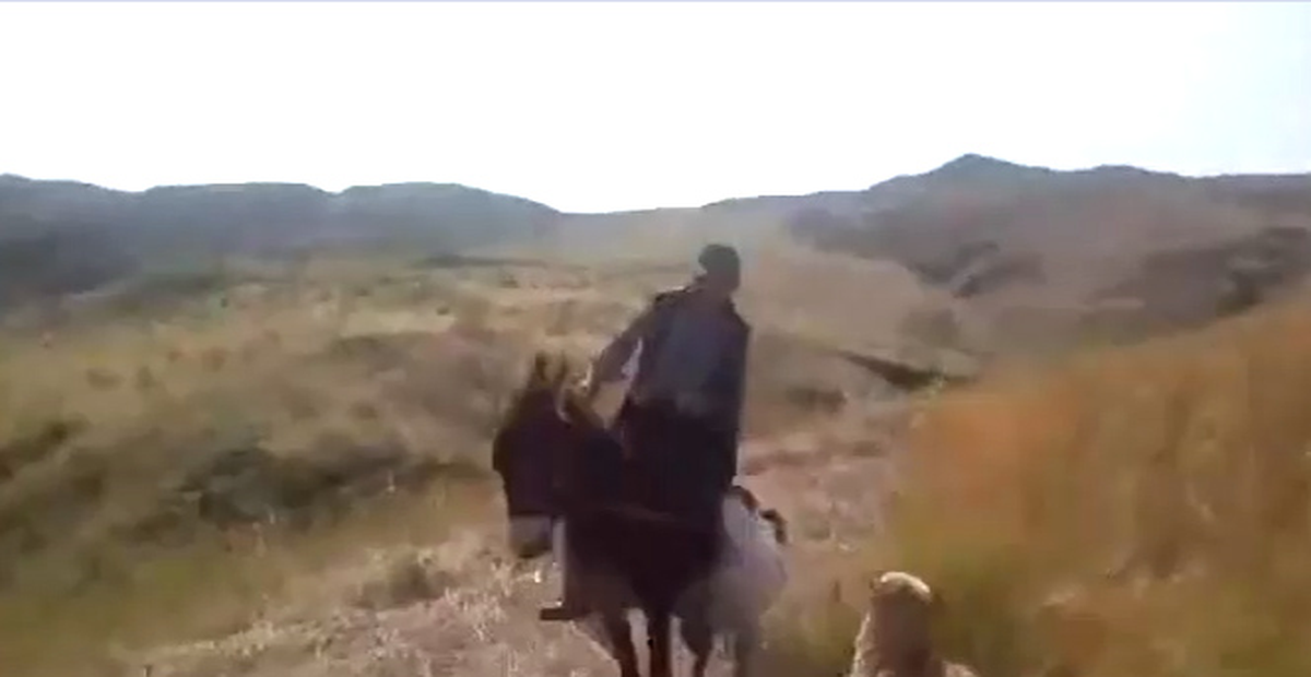 Eşekle Köpek Karşılaştı Olan Adama Oldu