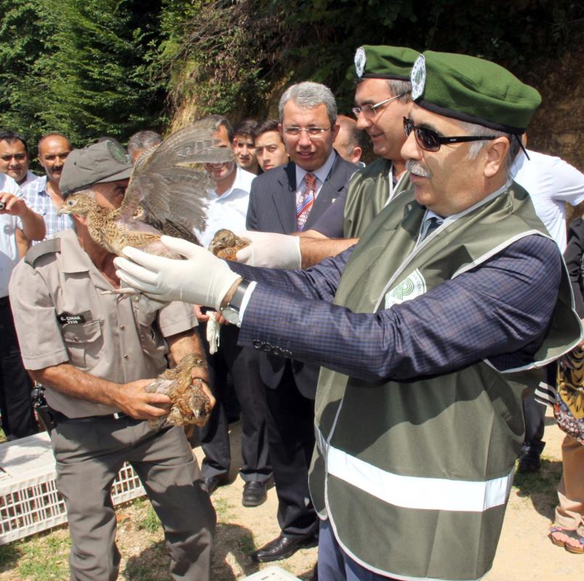Giresun\'da Doğaya 500 Sülün Salındı