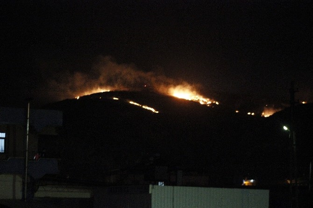 Hatay\'da Orman Yangını