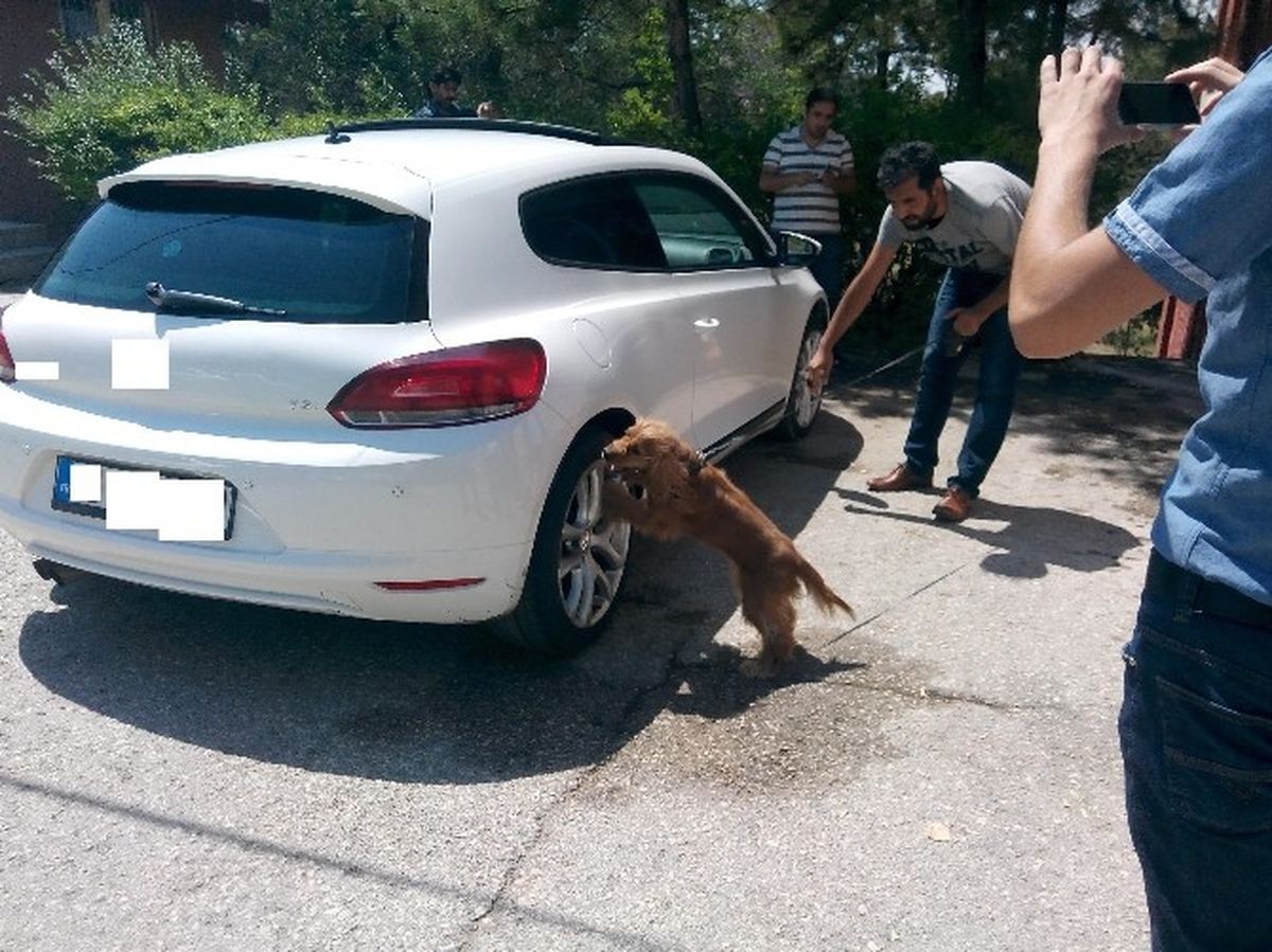 Kırıkkale\'de 32 Kilo Eroin Ele Geçirildi