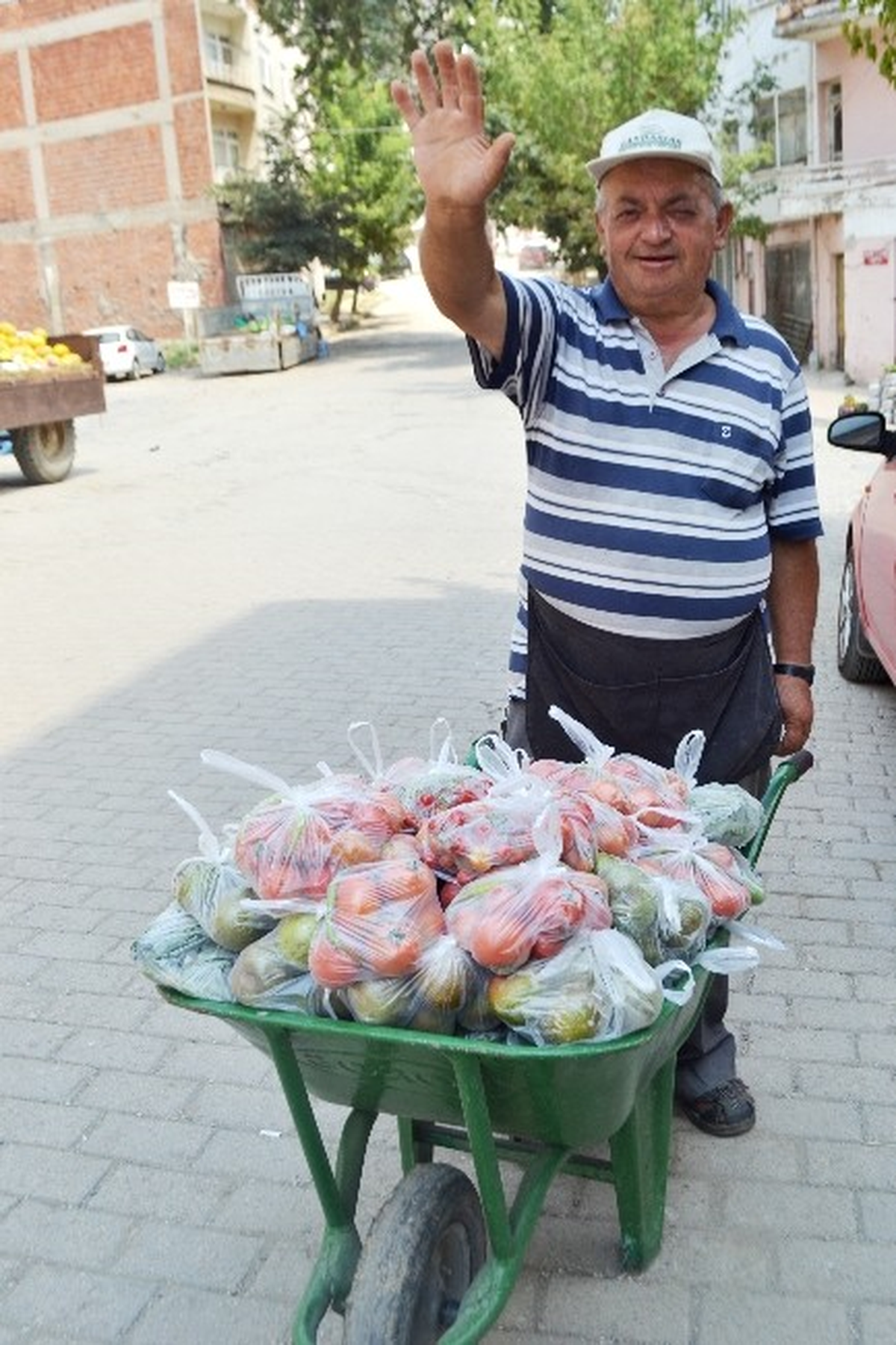 Malkaralı Emekli Aşçı\'dan Organik Kurak Domates
