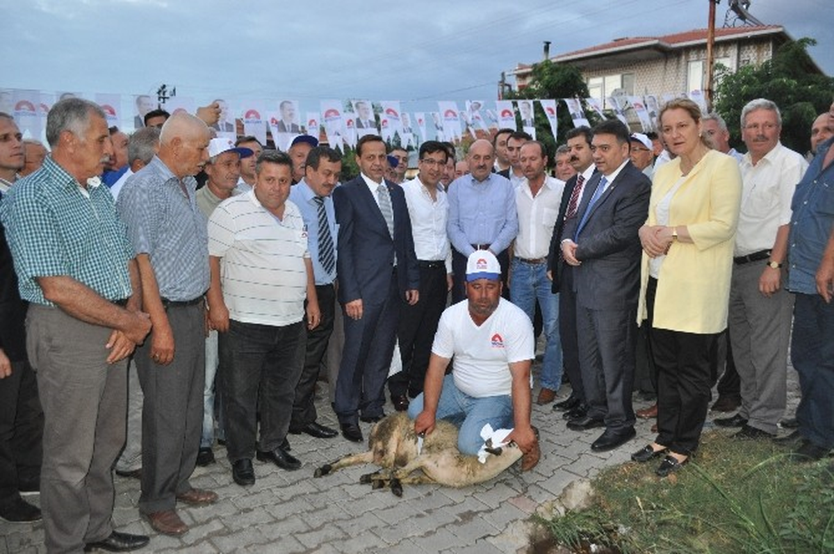 Ayvalı ve Sarıcaali\'de İlk Bakan Heyecanı