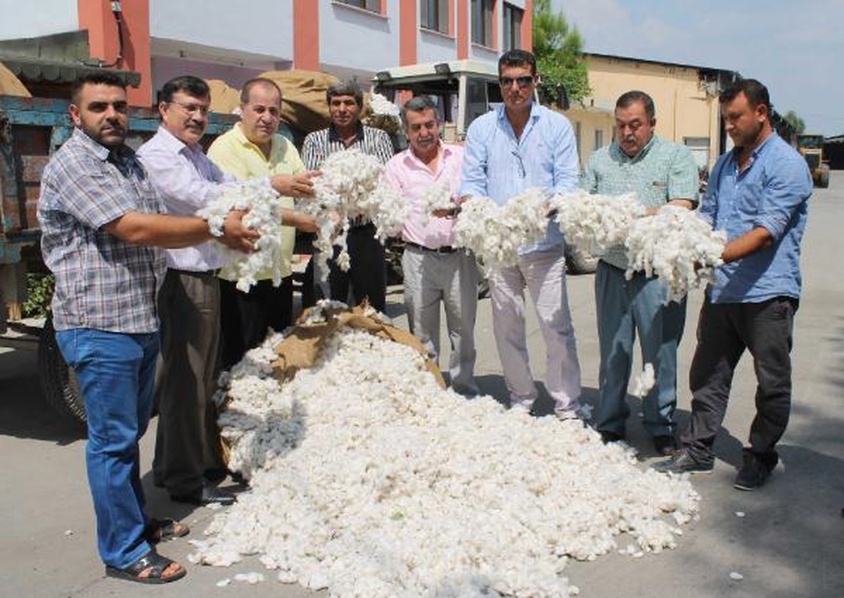 Ceyhan\'da İlk Kütlü Pamuğa Altın Ödülü
