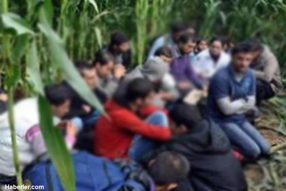 Edirne\'de "İnsan Kaçakçılığı" Operasyonu
