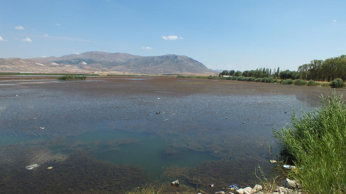 Kuraklık Ulaş Gölünü Etkiledi