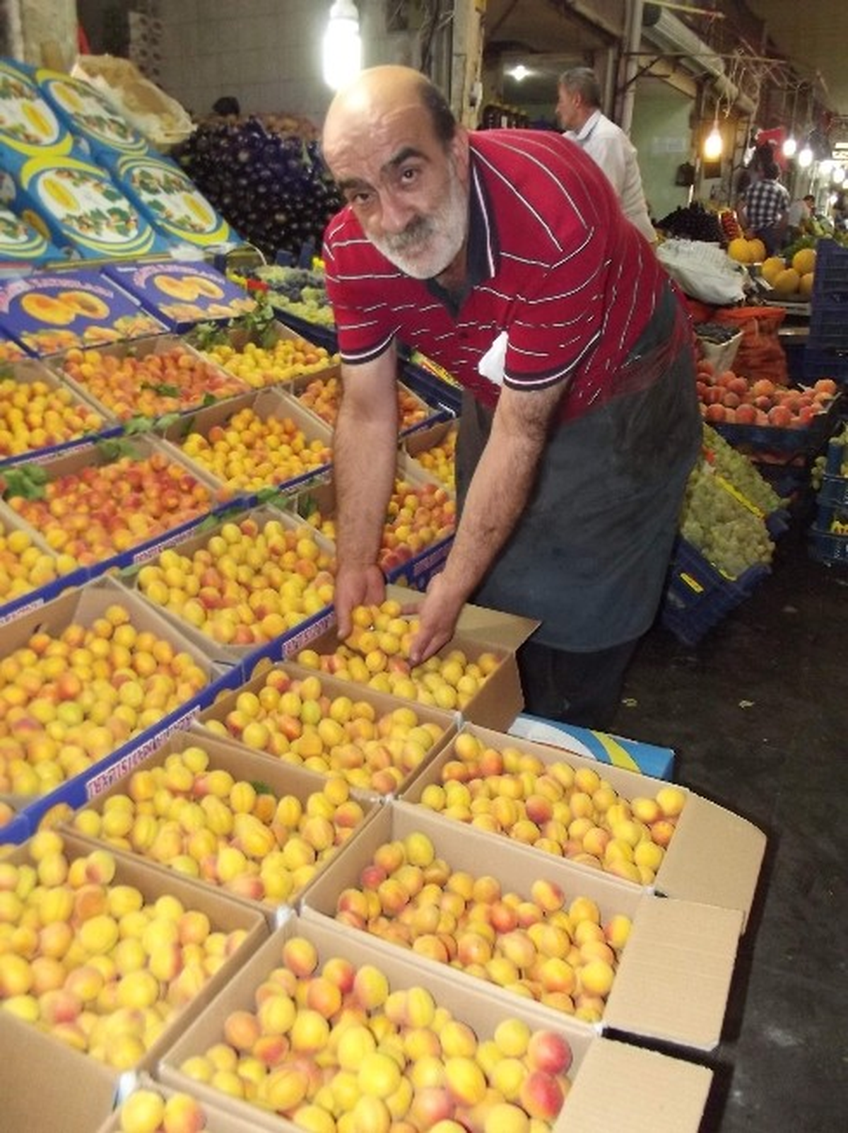 Mevsimin Son Taze Kayısıları Manavlarda Tükenmek Üzere