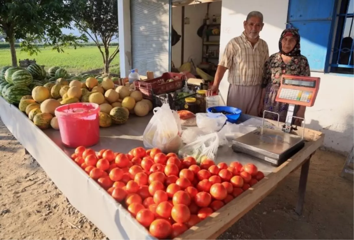 Milaslı Çiftçi Su Sıkıntısına Rağmen Üretiyor