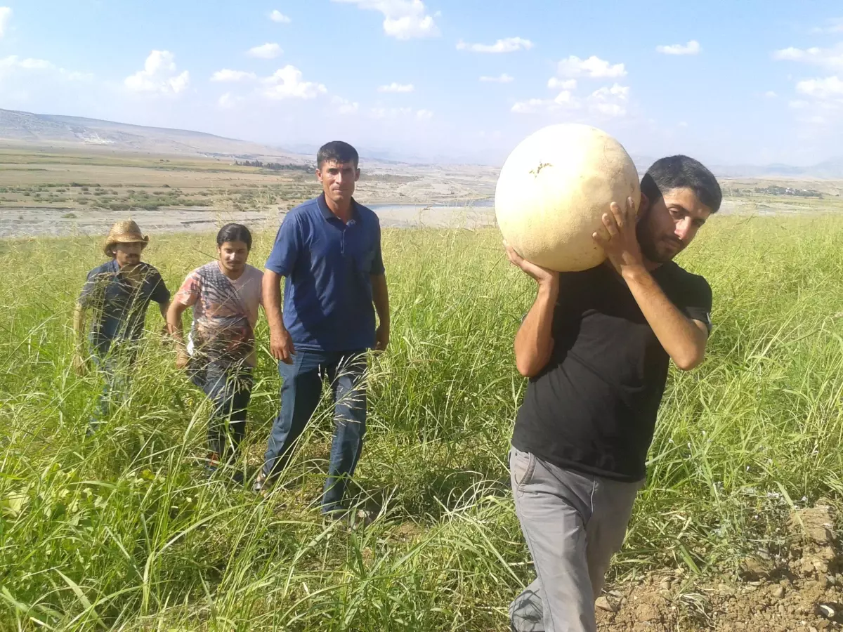 Mühendis Kardeşlerin Büyük Başarısı