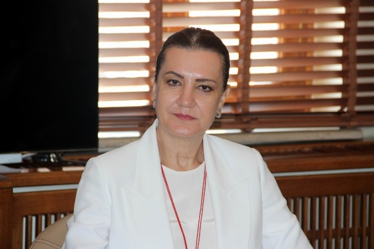 Cumhurbaşkanı Seçimi