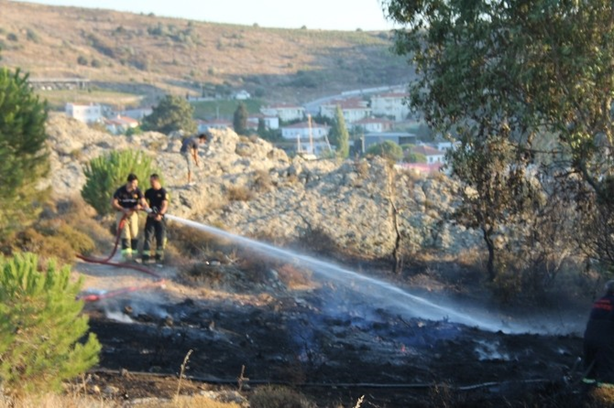 Foça\'yı Korkutan Yangın