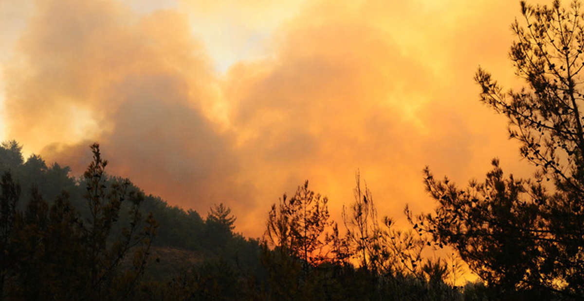 Kanada'da Son 64 Yılın En Büyük Orman Yangını Felaketi