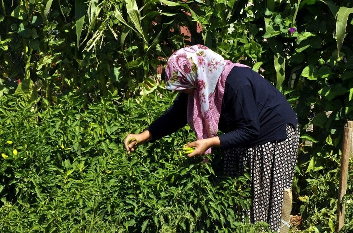 Kayserilileri Doğayla Buluşturan Mekan, Hobi Bahçesi