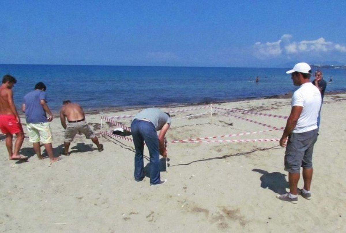 Kuşadası\'nda Caretta Carettaların İkinci Yuva Alanı