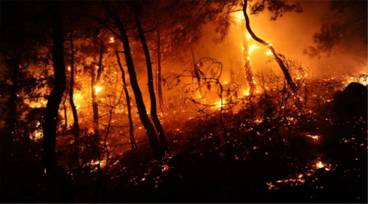 Samsun\'da 100 Hektar Orman Yandı