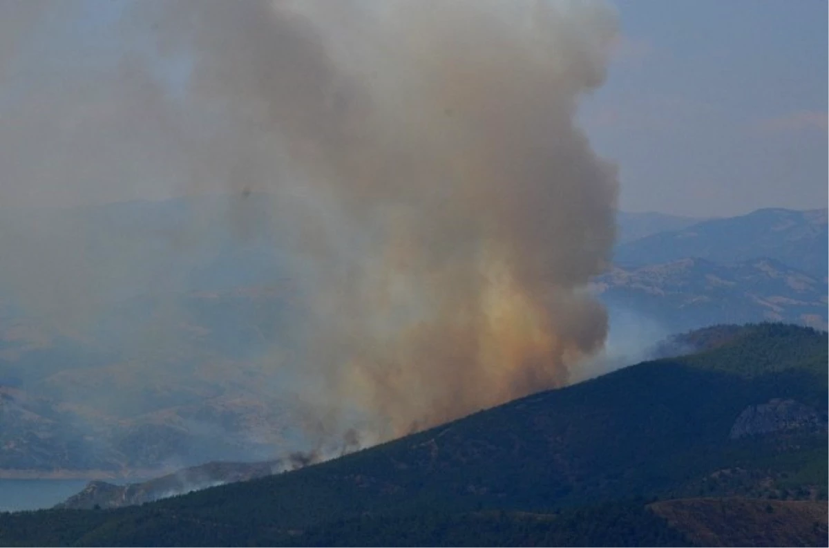 Samsun\'da Orman Yangını