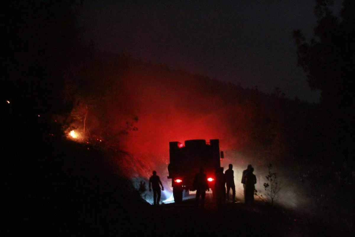 Samsun\'daki Orman Yangını