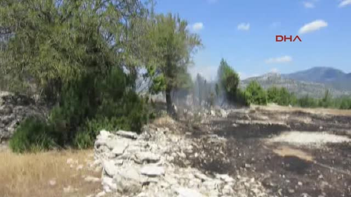 Akseki\'de Makilik Yangını