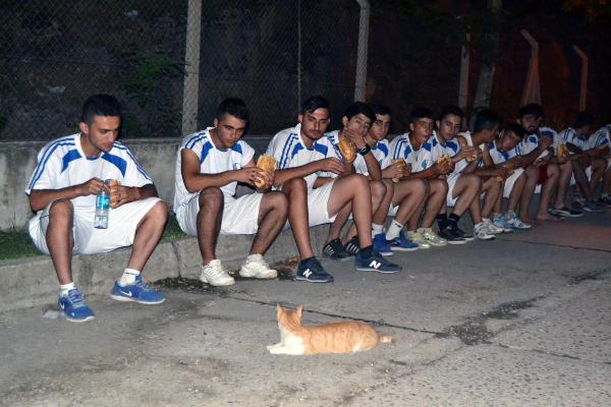 Futbolcular Yedi, Kedi Baktı