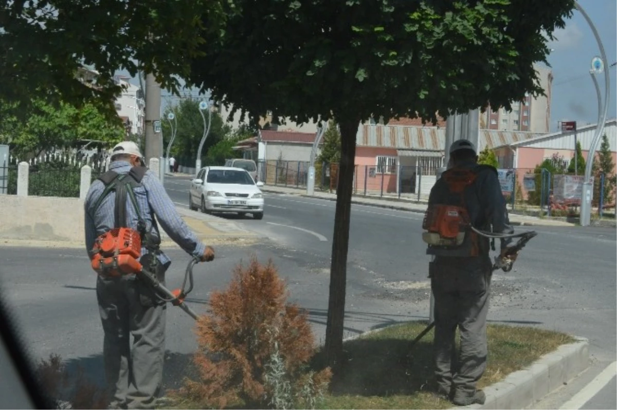 Kapaklı\'da Peyzaj Çalışmaları