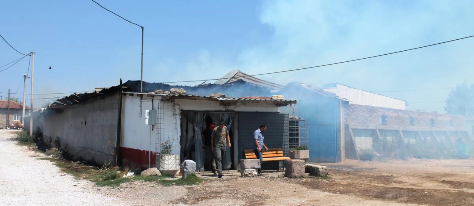 Küçükbaş Hayvan Çiftliğinde Yangın