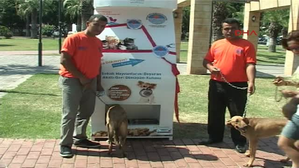 Mersin\'de Sokak Hayvanları Akıllı Kutularla Doyacak