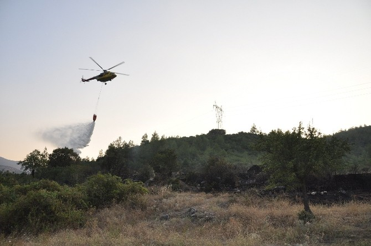 Muğla Yatağan\'da Orman Yangını