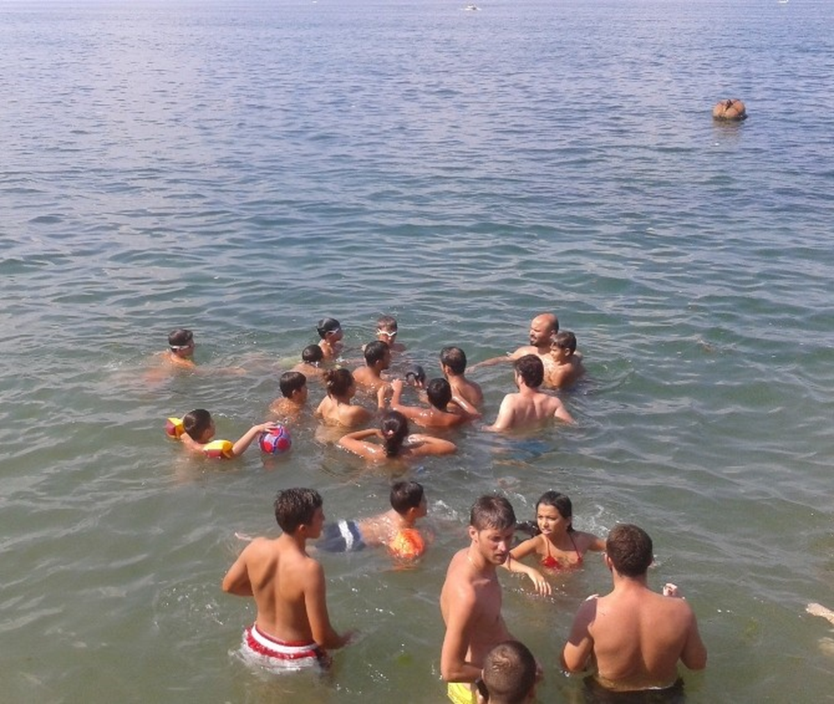 Yavru Yunus Balığı Plaja Daldı