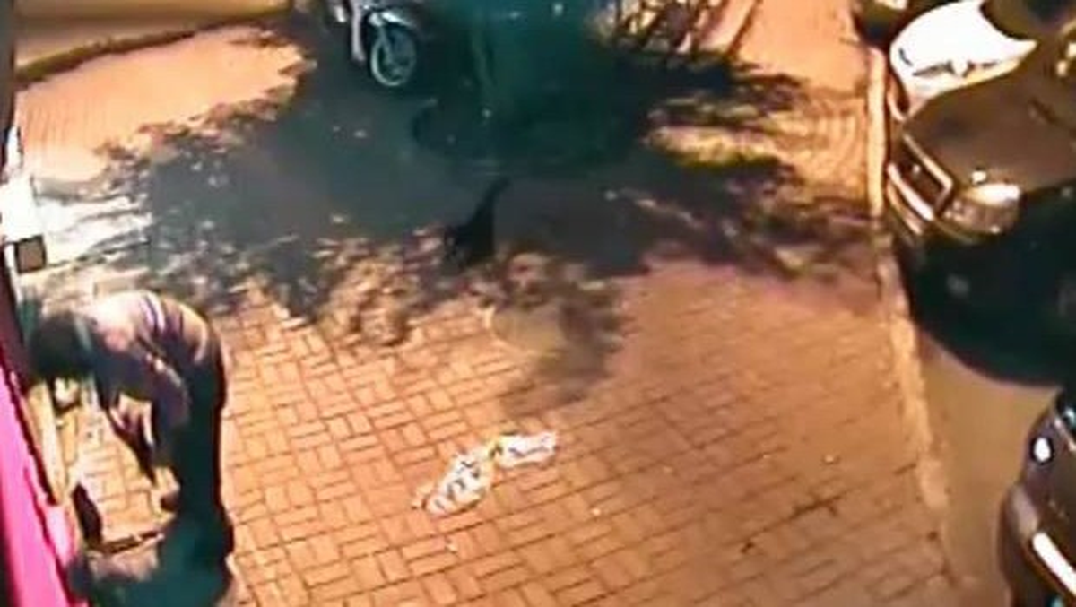 2 Yavru Kediyi İşkenceyle Öldürdü