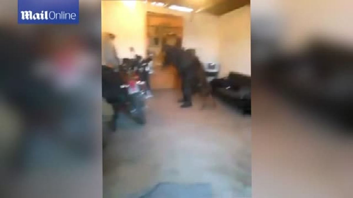 Polis, Köpeğine Yaptığı İşkence Nedeniyle Meslekten Atıldı