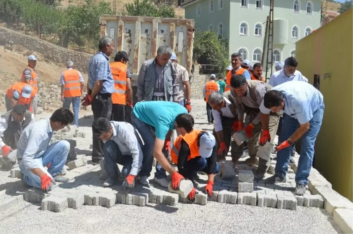 Şırnak Belediyesi 300 Kişilik Kadro ile Çalışma Başlattı