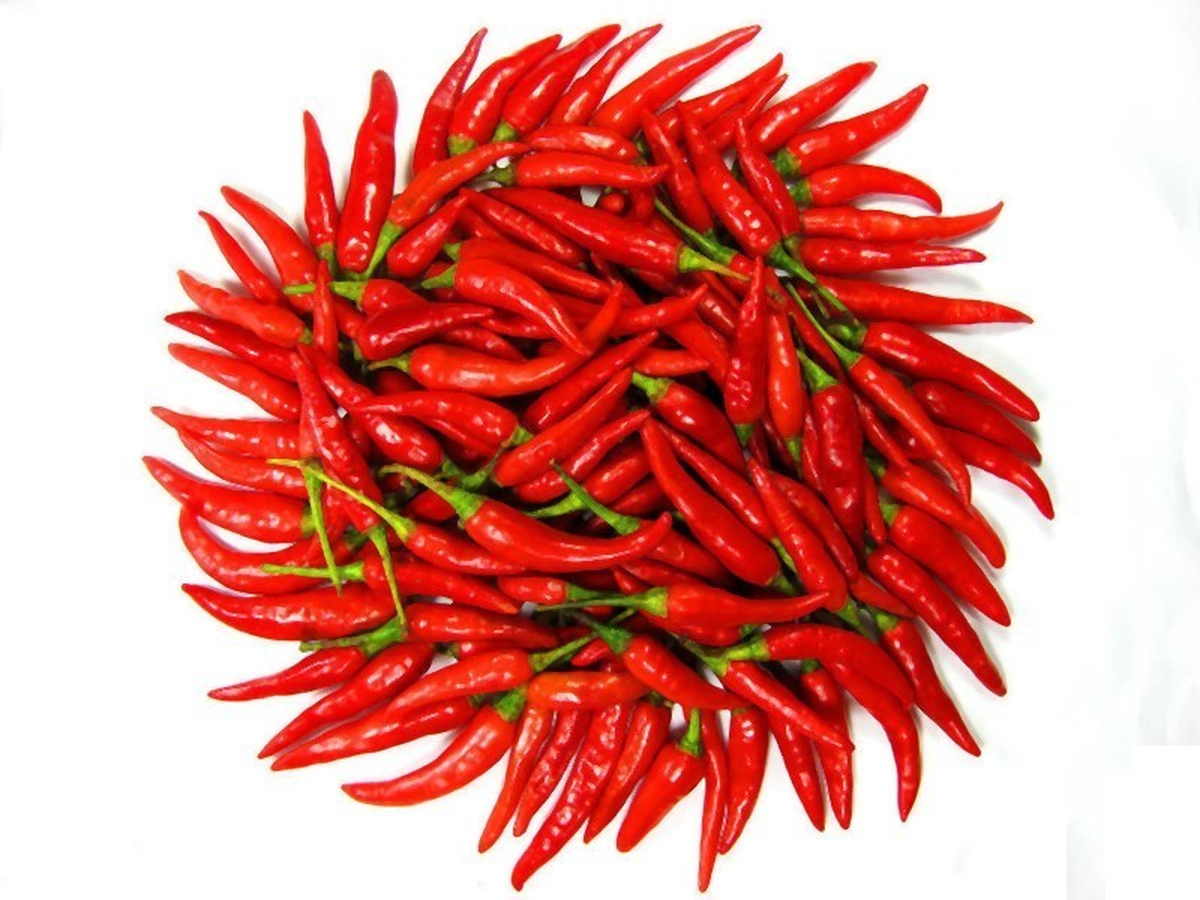 Acı Biberin "Obezite" Tehdidi