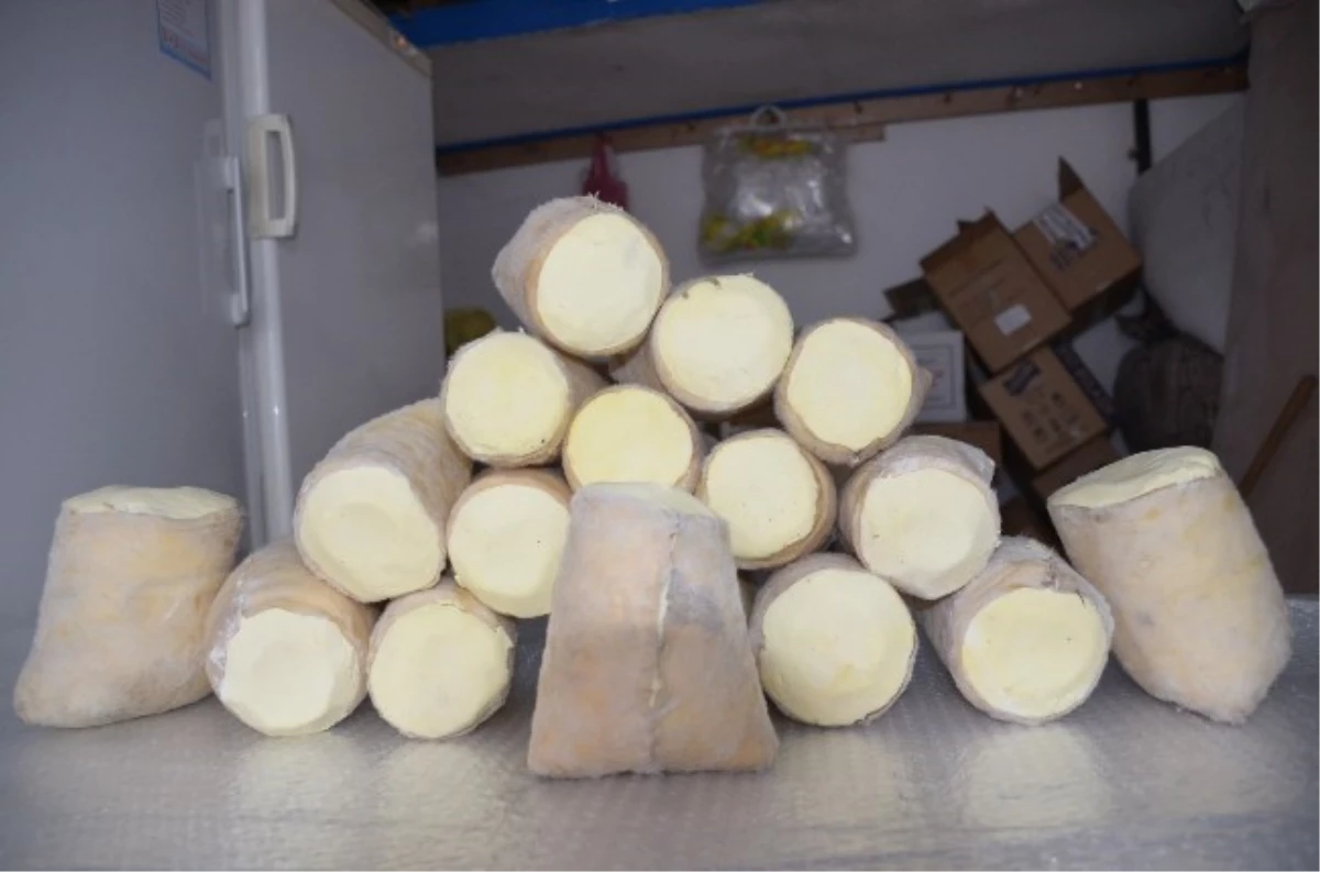 Avrupa, Keçi Sütünden Yapılan Peyniri Tercih Ediyor