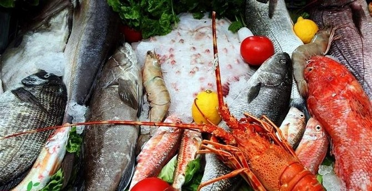 Aydın TKDK\'dan Su Ürünlerine Destek