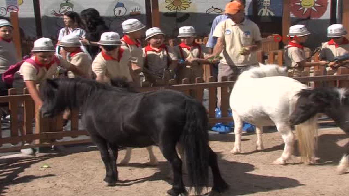 Hayvanat Bahçesinin Gönüllü Bakıcı Çocukları