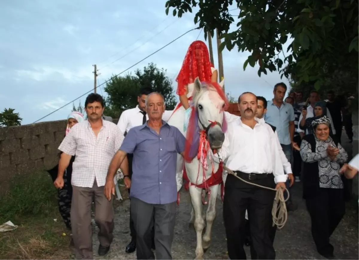 At Üzerinde Dünya Evine Girdi