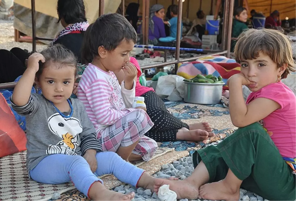 Yezidiler İçin Şanlıurfa\'da Kamp Kurulacak