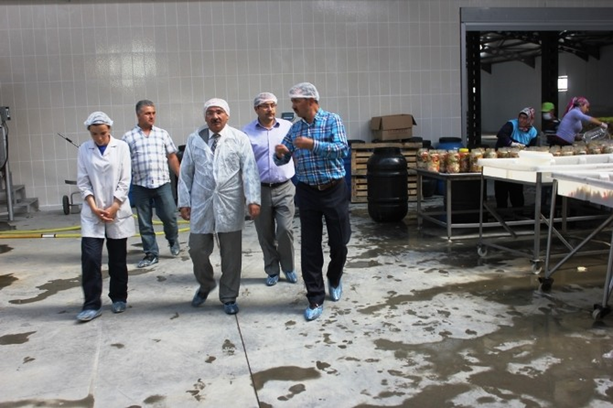 Yılmaz Turşu ve Salamura Fabrikasına Ziyarette Bulundu