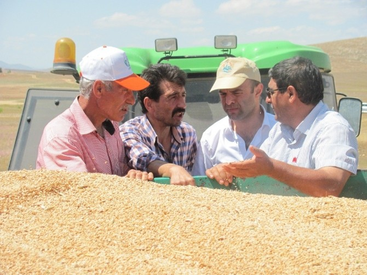 Karabulut ve Yıldırımtepe\'den Hasat Yapılan Tarlalarda İnceleme