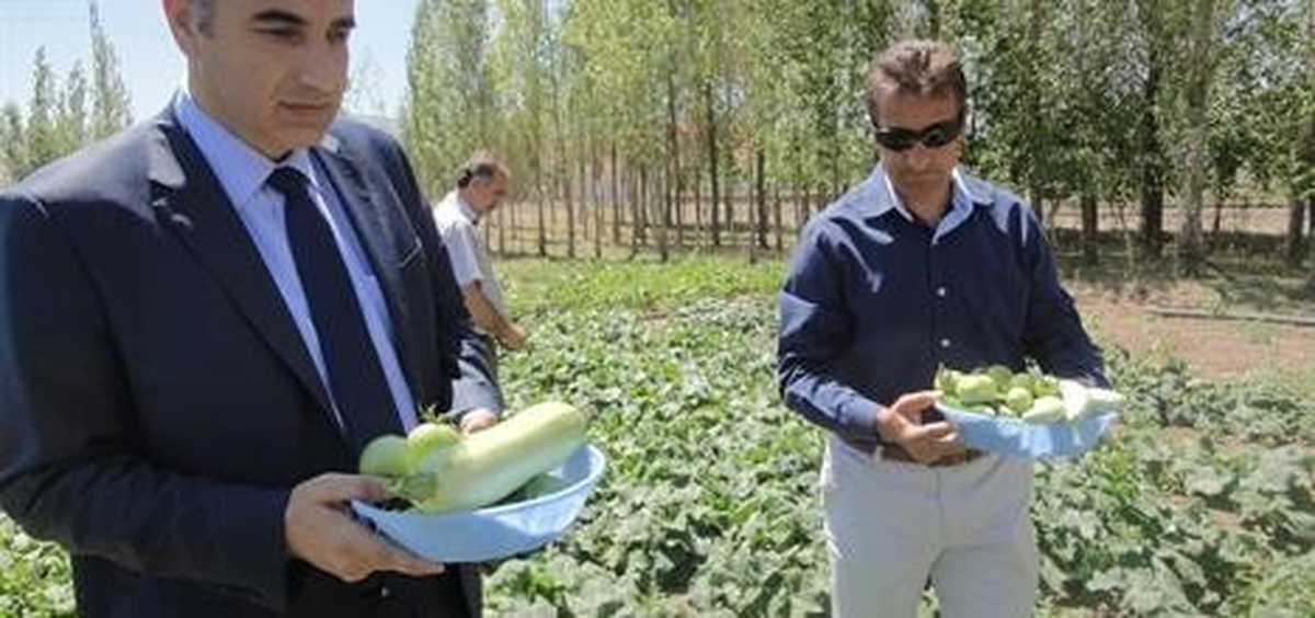 Palandöken\'de Sebze Bahçeleri Projesinde Hasat Zamanı