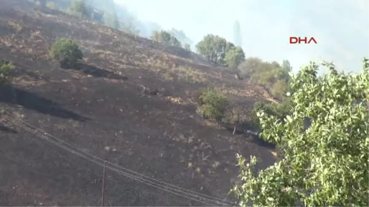 Kahramanmaraş Ekinözü\'nde Ormanlık Alanda Yangın