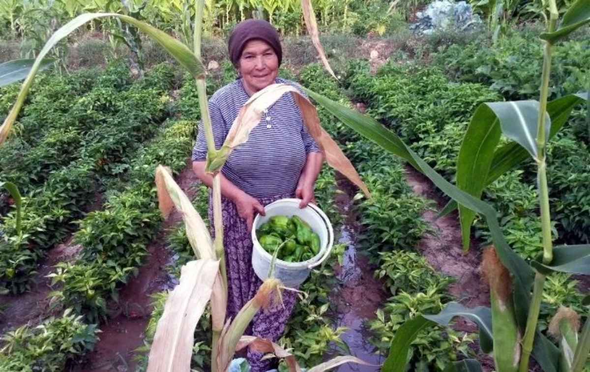 Organik Ürünler Yerinde Alıcı Buluyor