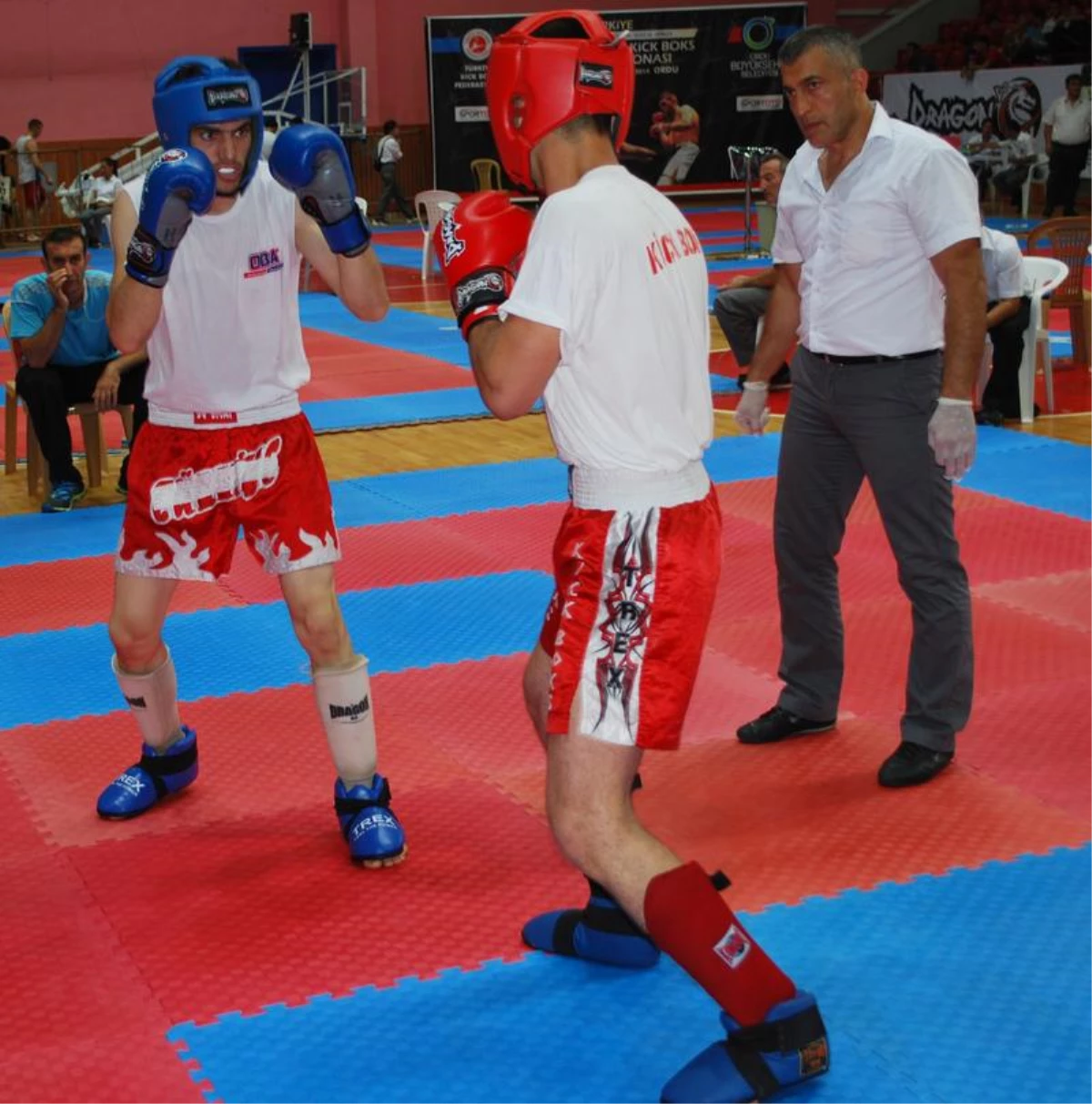 Türkiye Kick Boks Şampiyonası Başladı