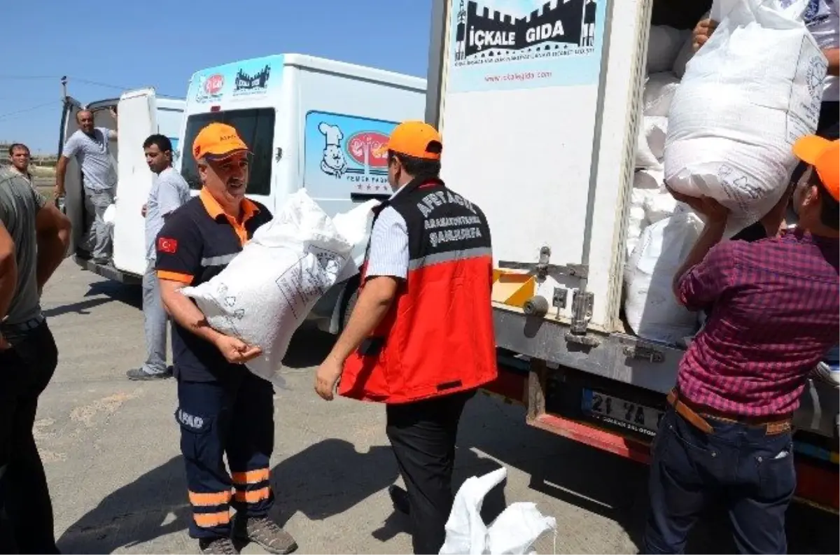 Yezidi Ailelere Yardım Paketi Dağıtıldı