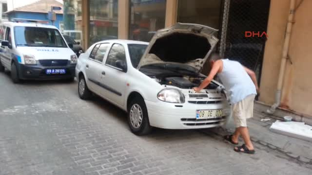 Yavru Kedi Polisi Uğraştırdı