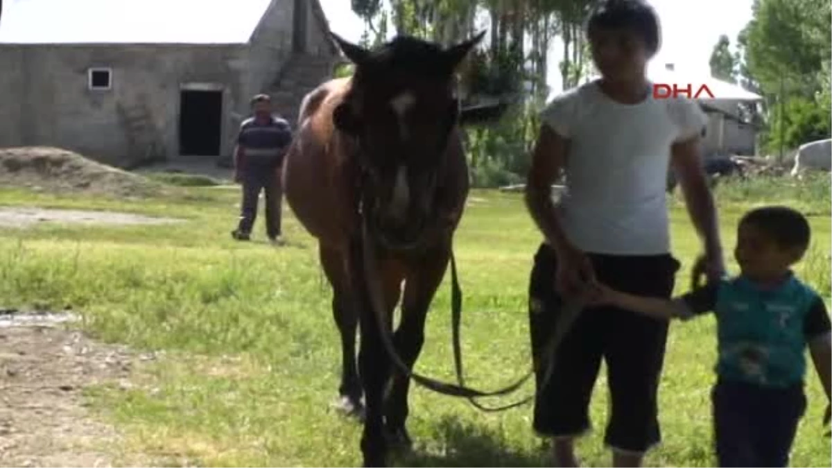 5 Yaşından Beri At Binen 13 Yaşındaki Ahmet Faruk Jokey Olmak İstiyor