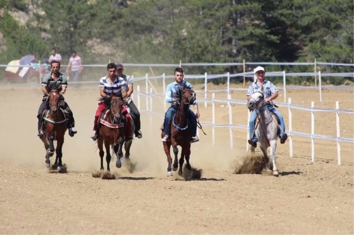 Bakan Eker, Kastamonu\'da Geleneksel At Yarışlarını İzledi